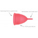 Менструальные чаши Mae B Intimate Health 2 Large Menstrual Cups