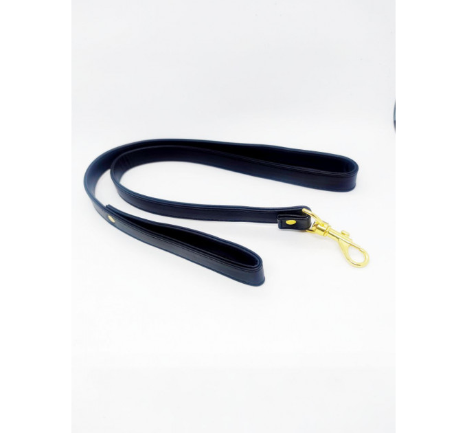 Ошейник с поводком DS Fetish Collar, синий