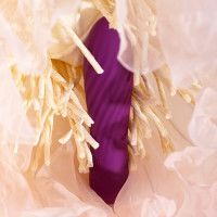Вібропуля SVAKOM TULIP VIBRATOR VIOLET
