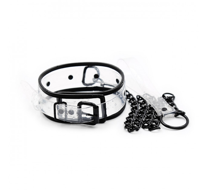 Ошейник с поводком DS Fetish Collar with leash transparent