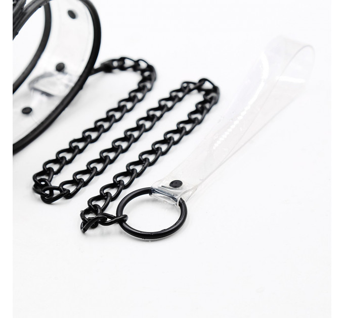Ошейник с поводком DS Fetish Collar with leash transparent