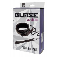 Ошейник с поводком BLAZE COLLAR AND LEASH PURPLE