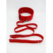 Ошейник с поводком DS Fetish Collar with leash red metal