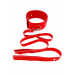 Ошейник с поводком DS Fetish Collar with leash red metal