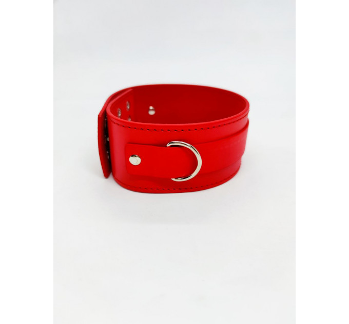 Ошейник с поводком DS Fetish Collar with leash red metal
