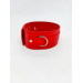 Ошейник с поводком DS Fetish Collar with leash red metal