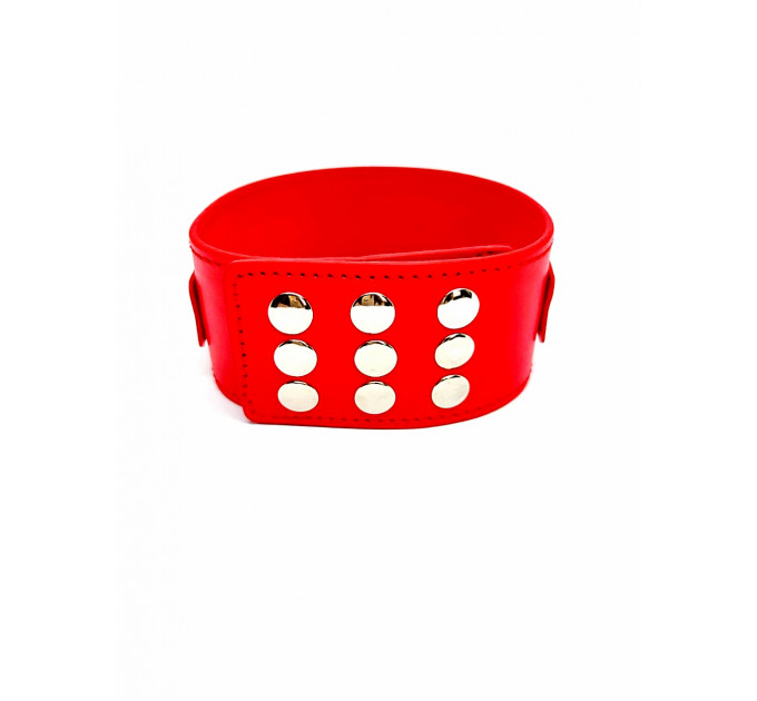 Ошейник с поводком DS Fetish Collar with leash red metal
