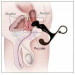 Масажер простати ToyJoy Power Plug Prostate Massager, червоний