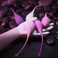Набор вагинальных шариков Evolved Tight & Delight разных цветов, 5 шт.