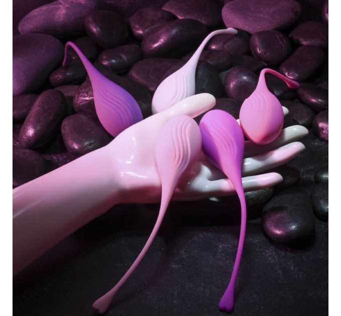 Набір вагінальних кульок Evolved Tight&Delight різних кольорів, 5 шт.