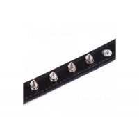 Нашийник з шипами Collar black with metal spikes
