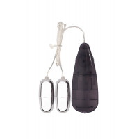 Віброяйця з пультом Chisa Hi-Basic Dual Delight Vibrating Bullets, сріблясті