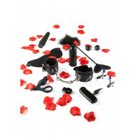 Набір секс іграшок Toy Joy Amazing Pleasure Sex Toy Kit