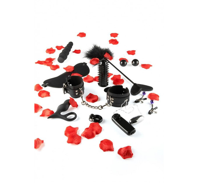 Набір секс іграшок Toy Joy Amazing Pleasure Sex Toy Kit