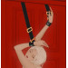 Ограничители для рук над дверьюUPKO Over the Door Hand Restraints