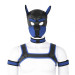 Бдсм маска собаки Bondage Puppy Hood LUV BLUE