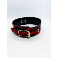 Оейник с поводком Collar black/red with leash