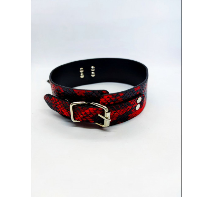 Оейник с поводком Collar black/red with leash