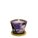 Свечи для массажа MASSAGE CANDLE EXOTIC FRUIT, 170 мл
