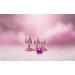 Анальна пробка рожева Dream Toys Gleaming Love з декоративним каменем, М