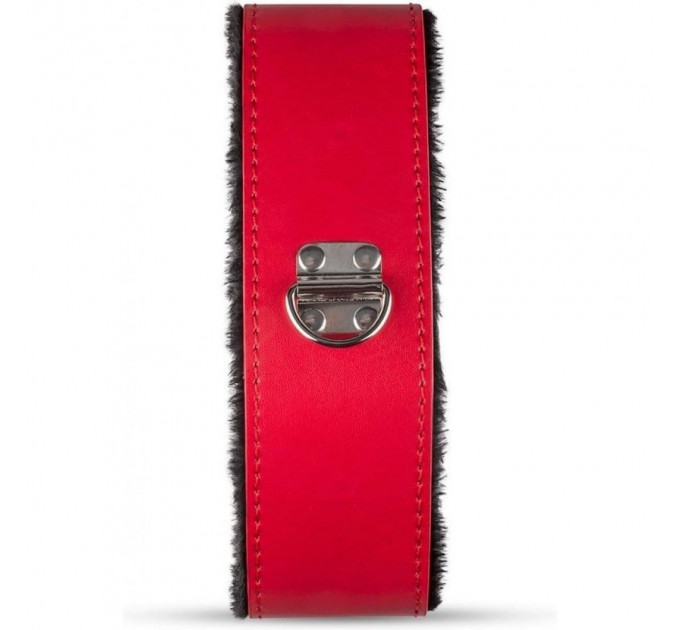 Набор БДСМ Secret Pleasure Chest Red Dragon