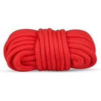 Набір БДСМ Secret Pleasure Chest Red Dragon