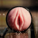 Мастурбатор в колбе Fleshlight Pink Lady Vortex, киберкожа, телесный