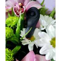 Вібратор у трусики з пультом та функцією керування зі смартфона Satisfyer Little Secret чорний