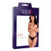 Комплект белья из прозрачного кружева с открытым доступом Daring Intimates, черный, S/M