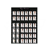 Панчохи в сіточку Backseam Black Leg Avenue O\S