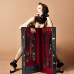 Чемодан для бдсм Sade Trunk UPKO