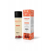 Масажна олія EXSENS ORGANIC MASSAGE OIL CARNELIAN APRICOT 100ML