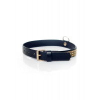 Ошейник Collar with crystals 2 cm gold