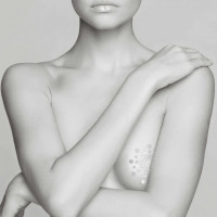 Прикраса для грудей MIMI Metallic Skin Transfer Bijoux Indiscrets