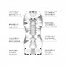 Мастубатор хай-тек рельефный Tenga Air Flow Gentle, белый