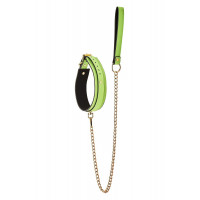 Нашийник з повідцем, що світиться у темряві Dream Toys Radiant Collar & Leash зелений