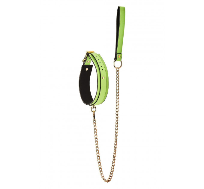 Нашийник з повідцем, що світиться у темряві Dream Toys Radiant Collar & Leash зелений