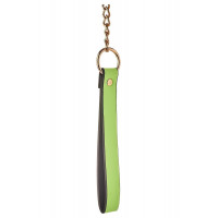 Нашийник з повідцем, що світиться у темряві Dream Toys Radiant Collar & Leash зелений