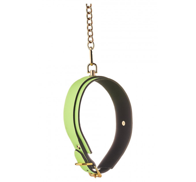 Нашийник з повідцем, що світиться у темряві Dream Toys Radiant Collar & Leash зелений