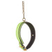 Нашийник з повідцем, що світиться у темряві Dream Toys Radiant Collar & Leash зелений
