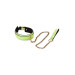 Нашийник з повідцем, що світиться у темряві Dream Toys Radiant Collar & Leash зелений