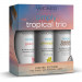 Набор ароматизированных лубрикантов Wicked Simply Tropical Trio Kit, 3 шт.