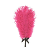 Романтичний набір RS - Essentials - Kit d'Amour Zwart/Roze