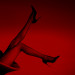 Сексуальные колготы Tearable Tights 5D UPKO черные, One Size