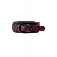 Ошейник с поводком BLAZE DELUXE COLLAR & LEASH