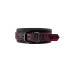 Ошейник с поводком BLAZE DELUXE COLLAR & LEASH