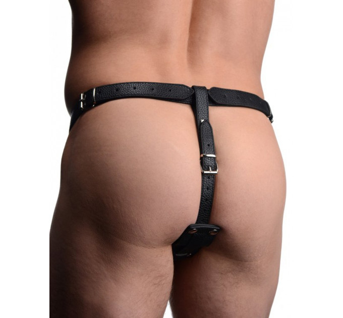Портупея труси з кільцем на член Harness With Cock Ring And Anal Plug та анальною пробкою