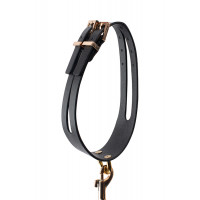 Поводок с ошейником GP PREMIUM COLLAR LEASH SET BLACK