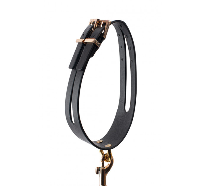 Поводок с ошейником GP PREMIUM COLLAR LEASH SET BLACK