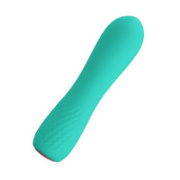 Міні вібромасажер Pretty Love ELFIN USB, Mint